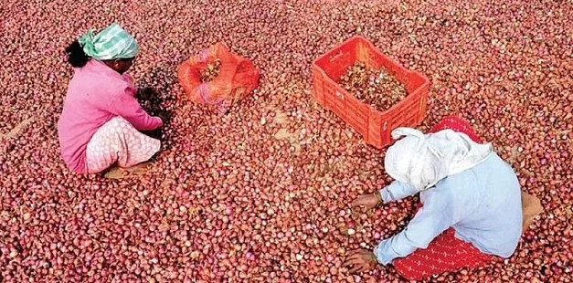 নেপথ্যে কি ভোট ? ৩১ মার্চ পর্যন্ত বিদেশে পেঁয়াজ রফতানি বন্ধ করল কেন্দ্র