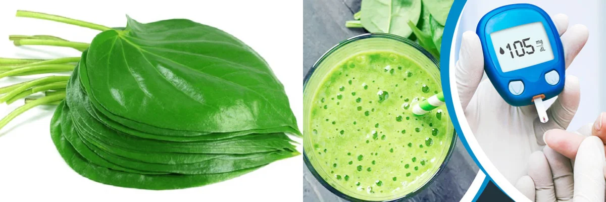 ডায়াবেটিস নিয়ন্ত্রণে পান পাতা কার্যকরী, দাবি গবেষণায়