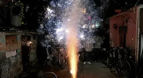 দিল্লিতে আতশবাজি পোড়ানোর প্রশংসা বিজেপি নেতার, পালটা জবাব পরিবেশমন্ত্রীর