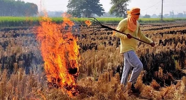ফসলের অবশিষ্ট অংশ পোড়ানো বন্ধে নিষেধাজ্ঞা, দিল্লি দূষণ মামলায় রায় সুপ্রিম কোর্টের