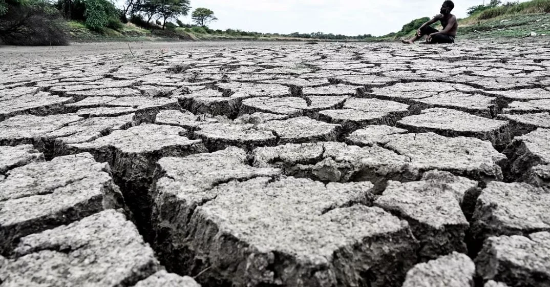 খরার মুখে পরে কর্নাটকে আত্মঘাতী ৪৫৬ কৃষক...চাঞ্চল্যকর রিপোর্ট  