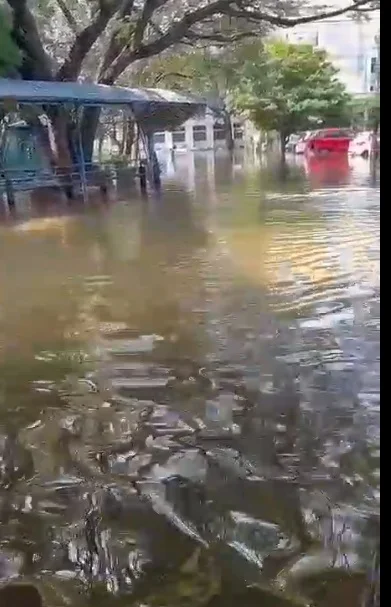চেন্নাইয়ে ক্যানসার আক্রান্তের চিকিৎসা করাতে গিয়ে দুর্যোগের কবলে হাওড়ার একই পরিবারের ৬ সদস্য