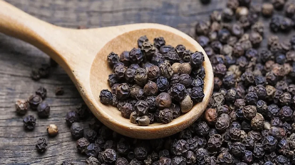 সর্দি-কাশি থেকে ক্যানসার প্রতিরোধ সহ ধূমপানের আসক্তি কমাতে সাহায্য করে গোলমরিচ