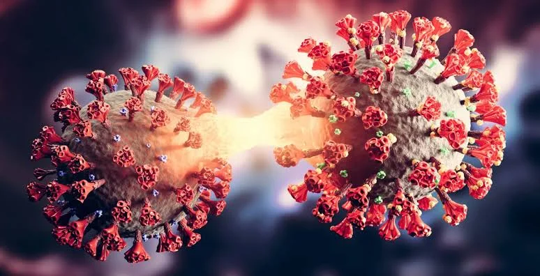 করোনার নয়া সাব-ভ্যারিয়েন্টে চিন্তা, বাধ্যতামূলক ৭ দিনের হোম আইসোলেসন