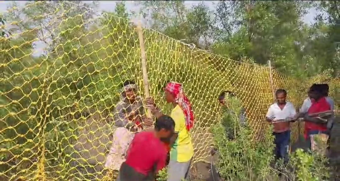 সুন্দরবনের কুলতলির মৈপীঠ ভুবনেশ্বরীতে বাঘের পায়ের ছাপকে ঘিরে আতঙ্ক,  ঘটনাস্থলে পুলিশ ও বন দফতর