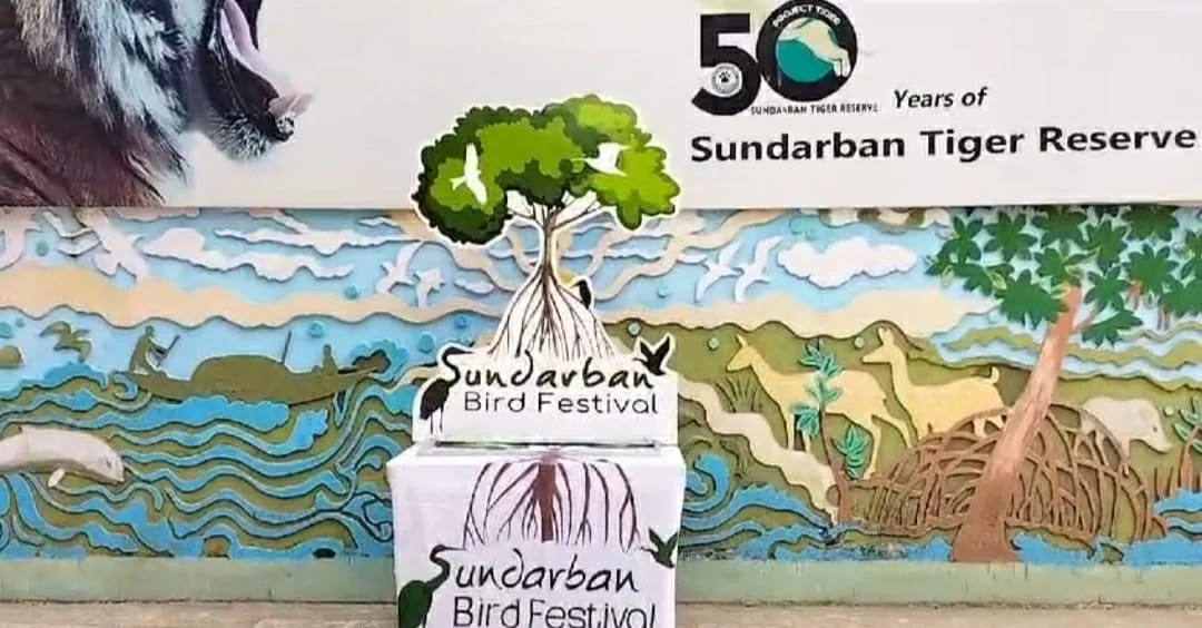 চারদিনের পাখি উৎসব শুরু সুন্দরবনের সজনেখালিতে
