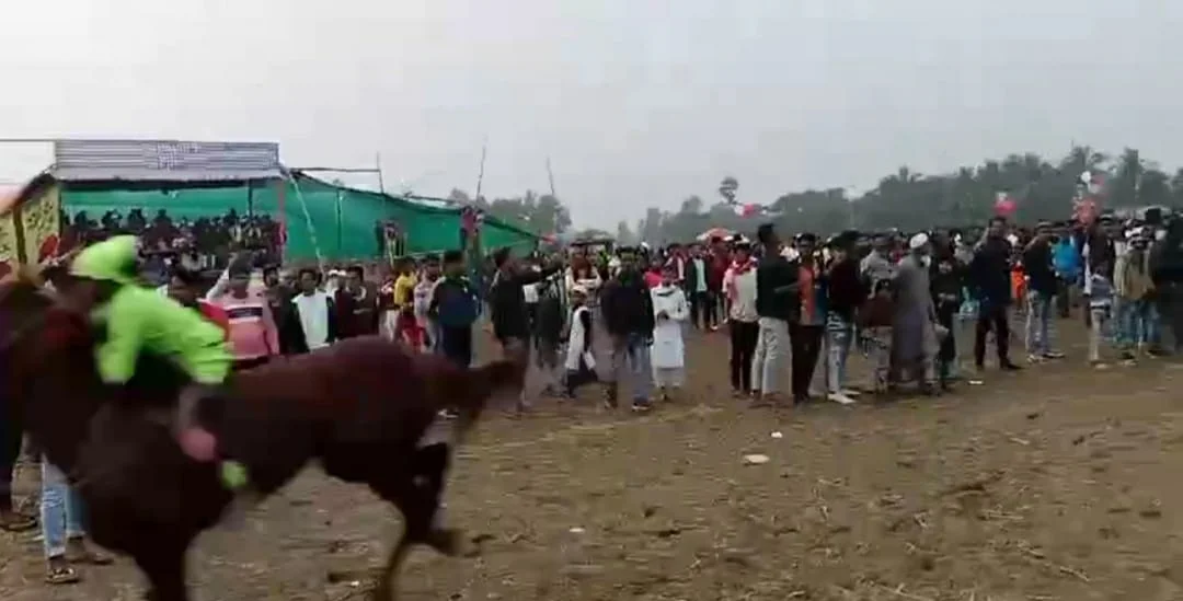 জয়নগরে হয়ে গেল ঘোড়া দৌড় প্রতিযোগিতা