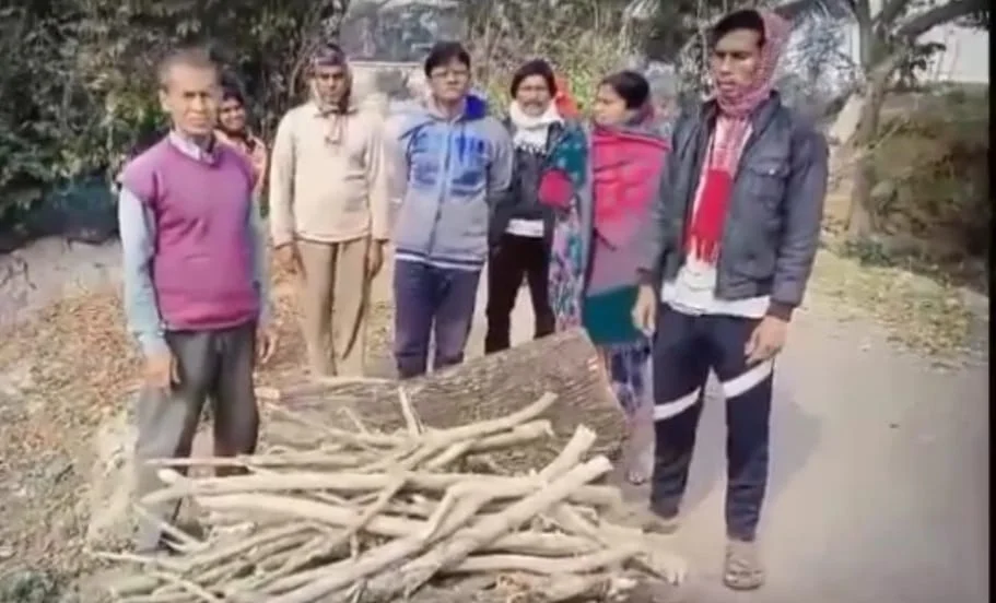 সরকারি গাছ কেটে নেওয়ার অভিযোগ পঞ্চায়েত প্রধানের বিরুদ্ধে