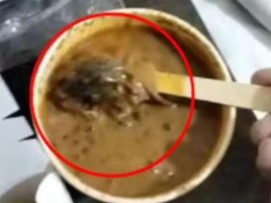 ডালের বাটিতে ভাসছে মরা ইঁদুর! উত্তরপ্রদেশে নামি রেস্তোরাঁর খাবার খেয়ে হাসপাতালে ব্যক্তি