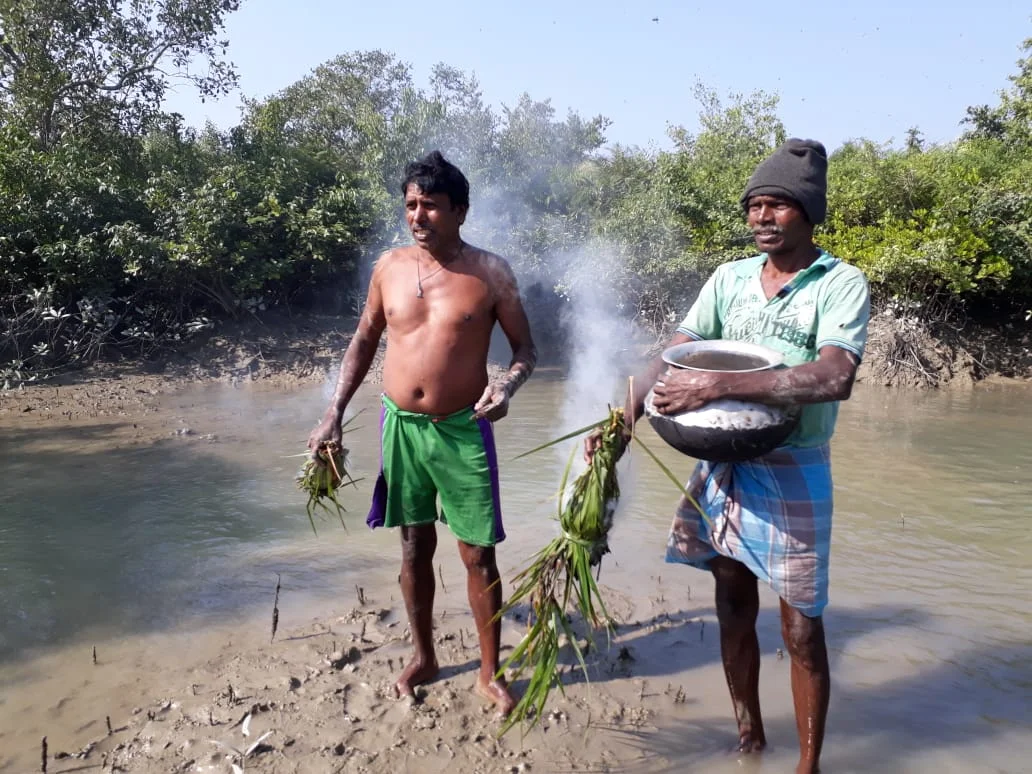 সুন্দরবনের মধু জিআই ট্যাগ পাওয়ায় মুখ্যমন্ত্রীর পাশাপাশি খুশি সুন্দরবনের মৌলেরা