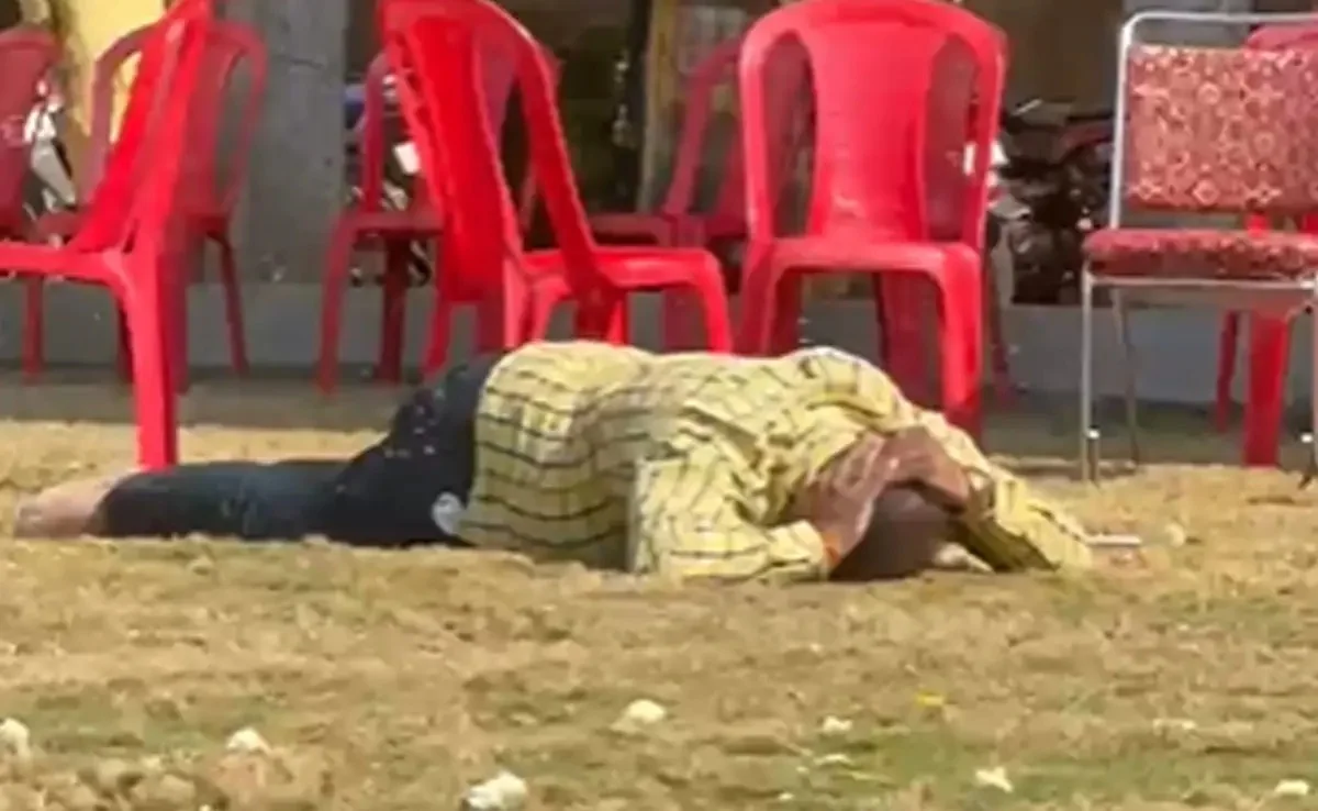 বিয়েতে মৌমাছির হানা, আহত ১২