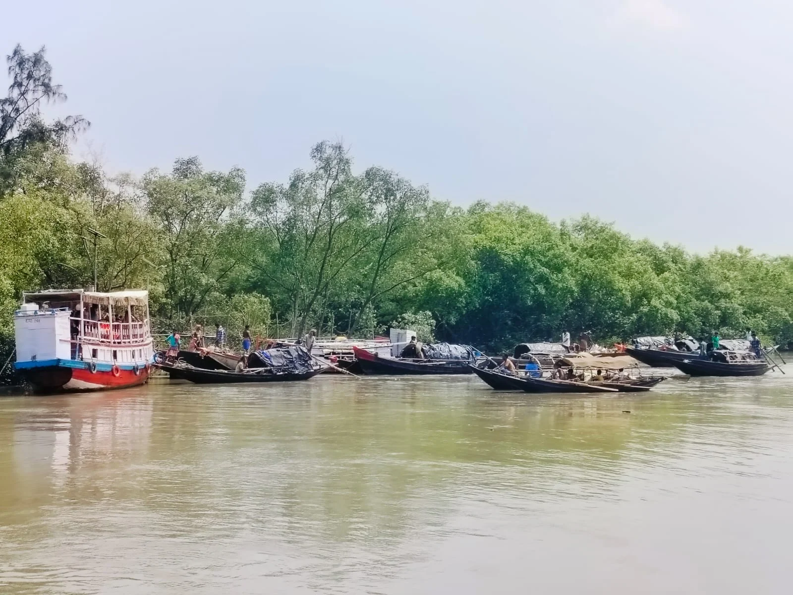 সুন্দরবনে শুরু হল এবছরের মধু সংগ্রহের কাজ, দাম বাড়ায় খুশি মৌউলেরা