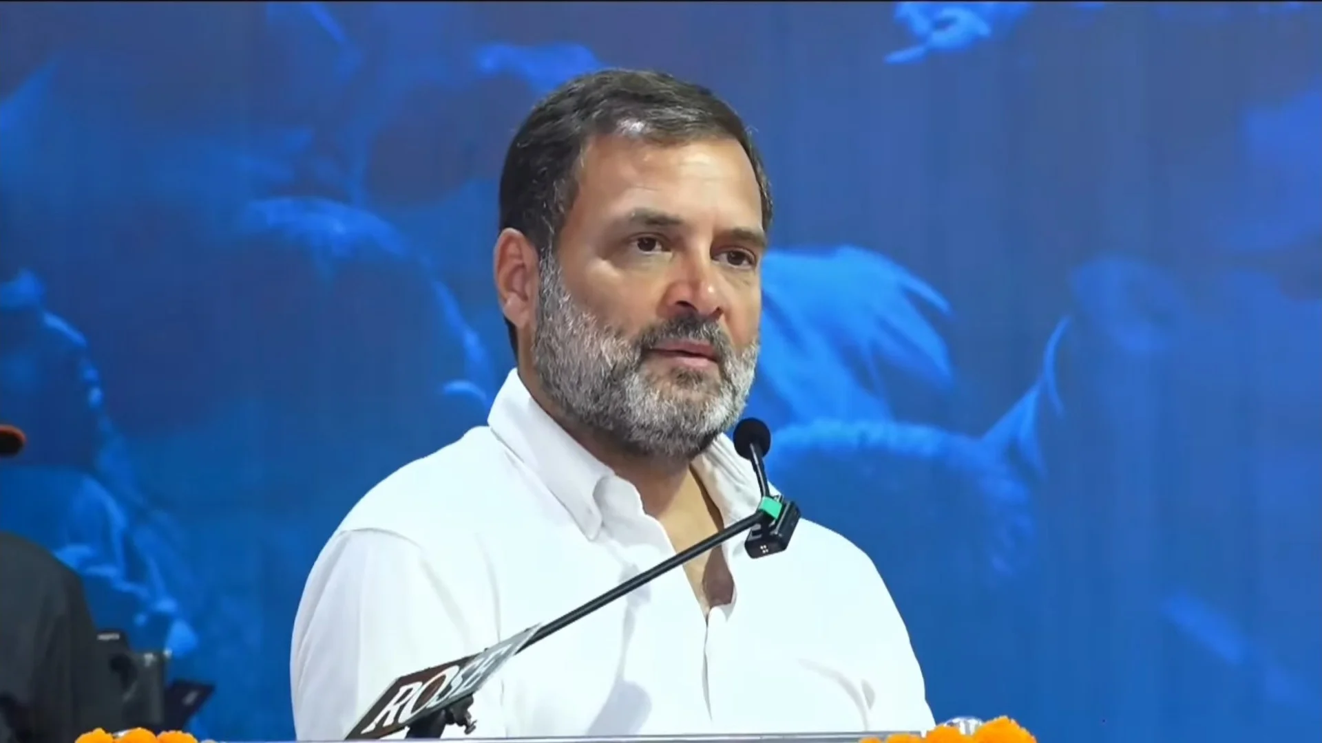 সংবিধান পরিবর্তন করার সাহস নেই বিজেপির, কটাক্ষ রাহুলের