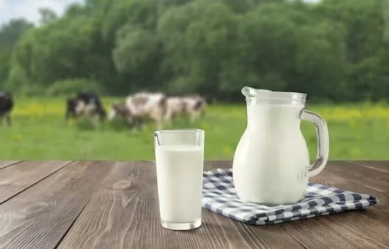 গরমে রোজই দুধ কেটে যাচ্ছে?  এই হ্যাক ফলো করুন—ফ্রিজের প্রয়োজন হবে না