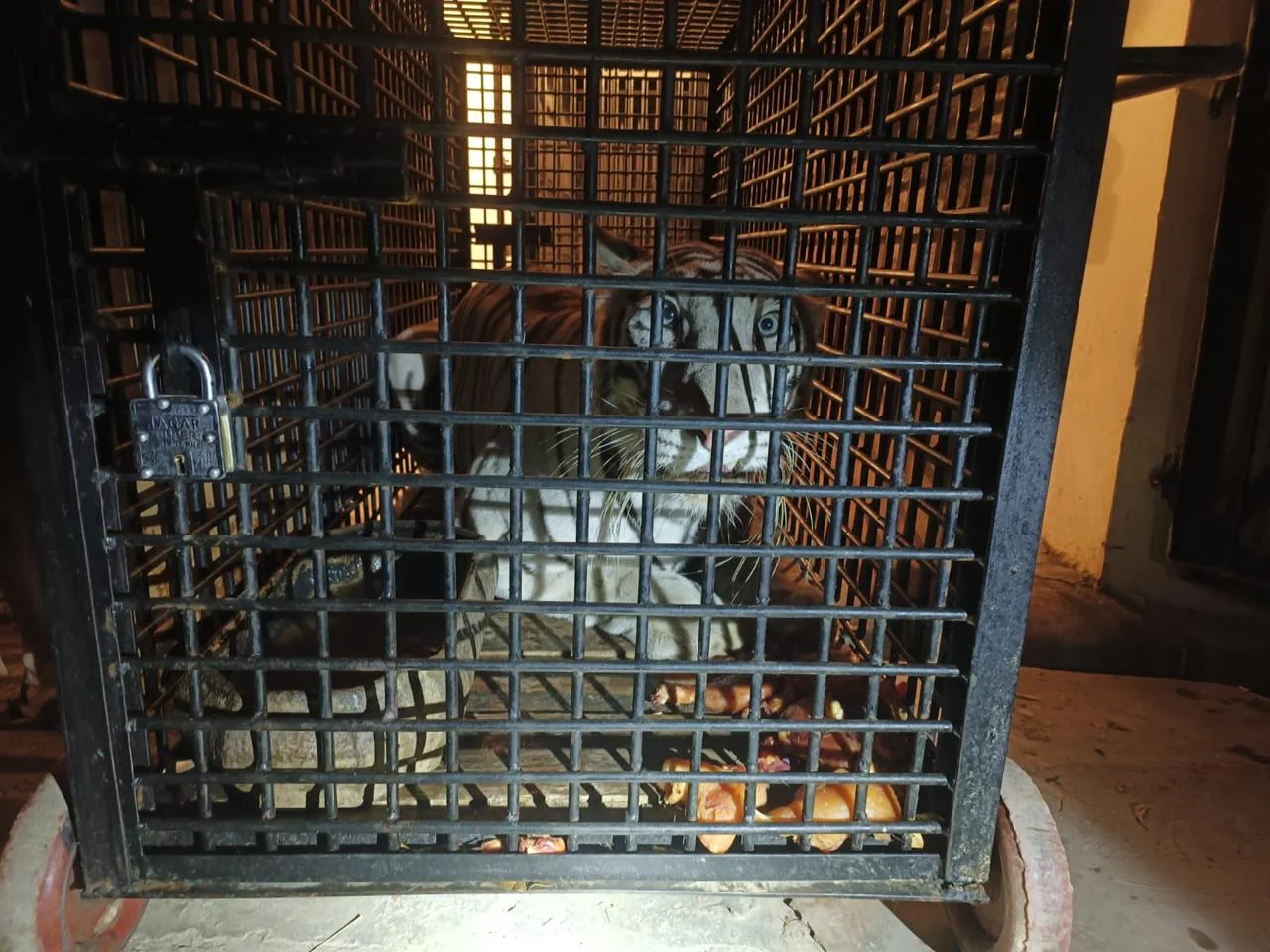 আলিপুর-বিশাখাপত্তনম চিড়িয়াখানার প্রাণী বিনিময়