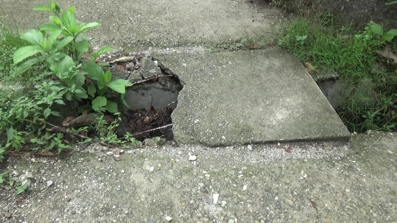 ডুয়ার্স: বেহাল অবস্থায় রাষ্ট্রপতির হাতে পুরস্কার পাওয়া স্বাস্থ্যকর্মীর স্বাস্থ্যকেন্দ্র