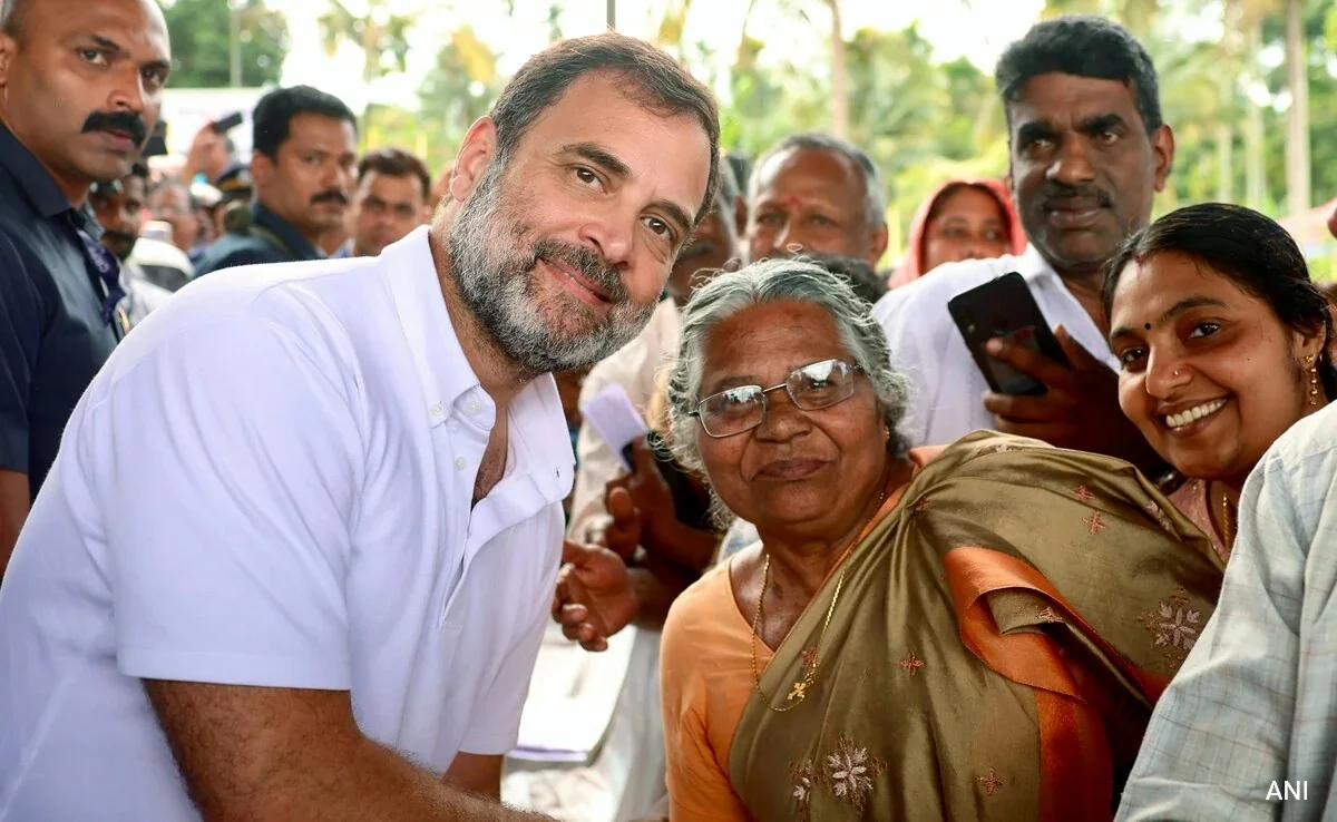 বড় জয়ের পথে রাহুল গান্ধি