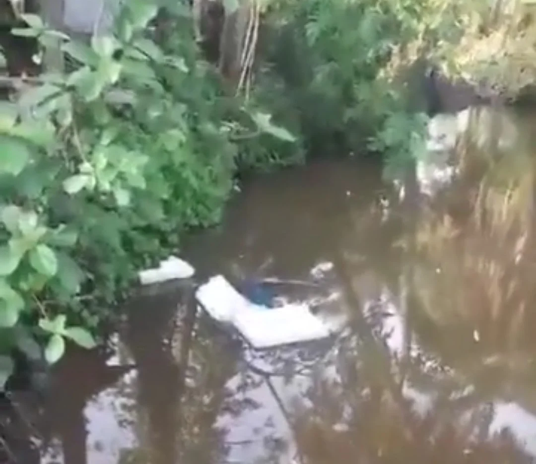 ইভিএম মেশিন জলে