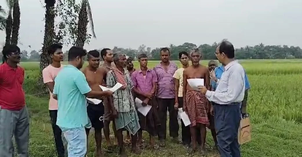 অতিভারী বৃষ্টিতে ধান ও সবজি চাষে ক্ষতির মুখে জয়নগরের চাষিরা