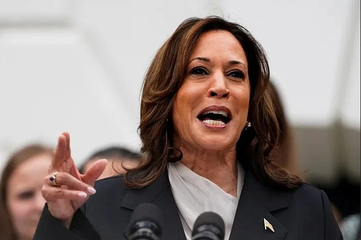 এখন কী কাজ করবেন কমলা হ্যারিস?