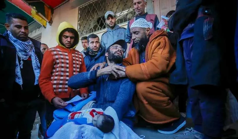 তীব্র শীত, গাজায় দীর্ঘ হচ্ছে জান্নাতের পাখির তালিকা