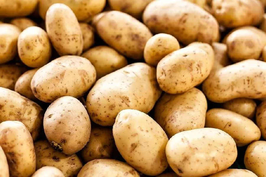 আলু নিয়ে রাজনীতি করছে মমতা সরকার, অভিযোগ ওড়িশার মন্ত্রীর