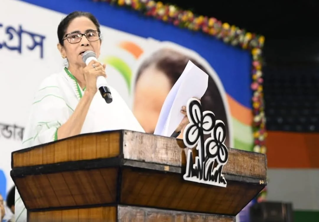 তালিকায় ভুতুড়ে ভোটার নজরদারিতে কমিটি গড়লেন মমতা