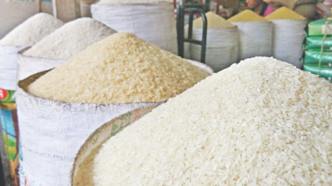 মহার্ঘ্য হচ্ছে চাল, কী বলছেন সংশ্লিষ্ট মহল
