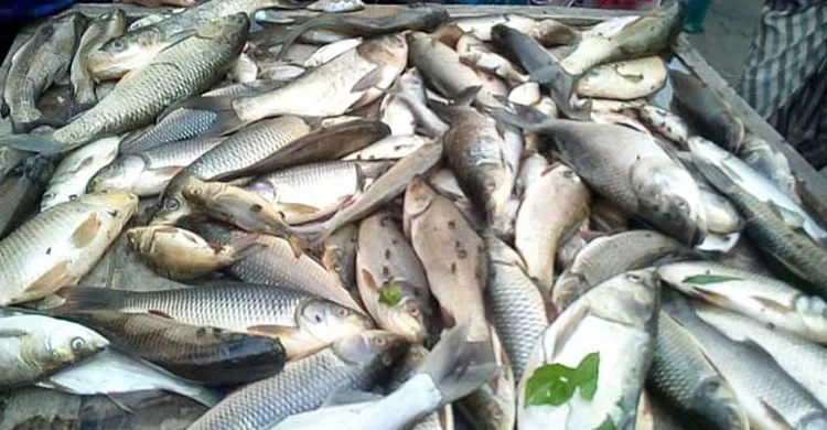 মাছ উৎপাদনে এবছরেই দেশের এক নম্বরে যাবে রাজ্য, বিধানসভায় মৎস্যমন্ত্রী