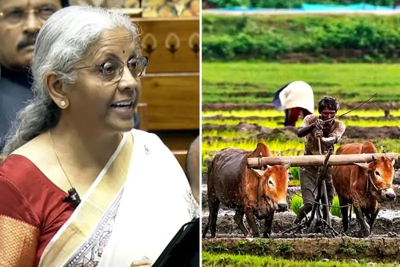 কিসান ক্রেডিট কার্ড নিয়ে বাজেটে বড় ঘোষণা