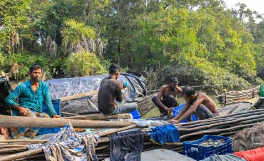সুন্দরবনের জঙ্গলে মাছ ও কাঁকড়া ধরতে গিয়ে জলদস্যুদের কবলে দুই মৎস্যজীবী