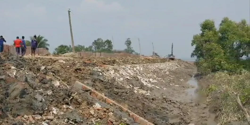 Mangrove forest কাটার অভিযোগ, তদন্তের নির্দেশ প্রশাসনের