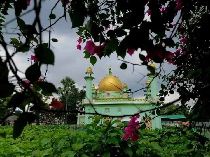 Pahalgam Terror Attack: তদন্ত ও শাস্তির দাবি জমিয়েতে উলামায়ে বাংলা