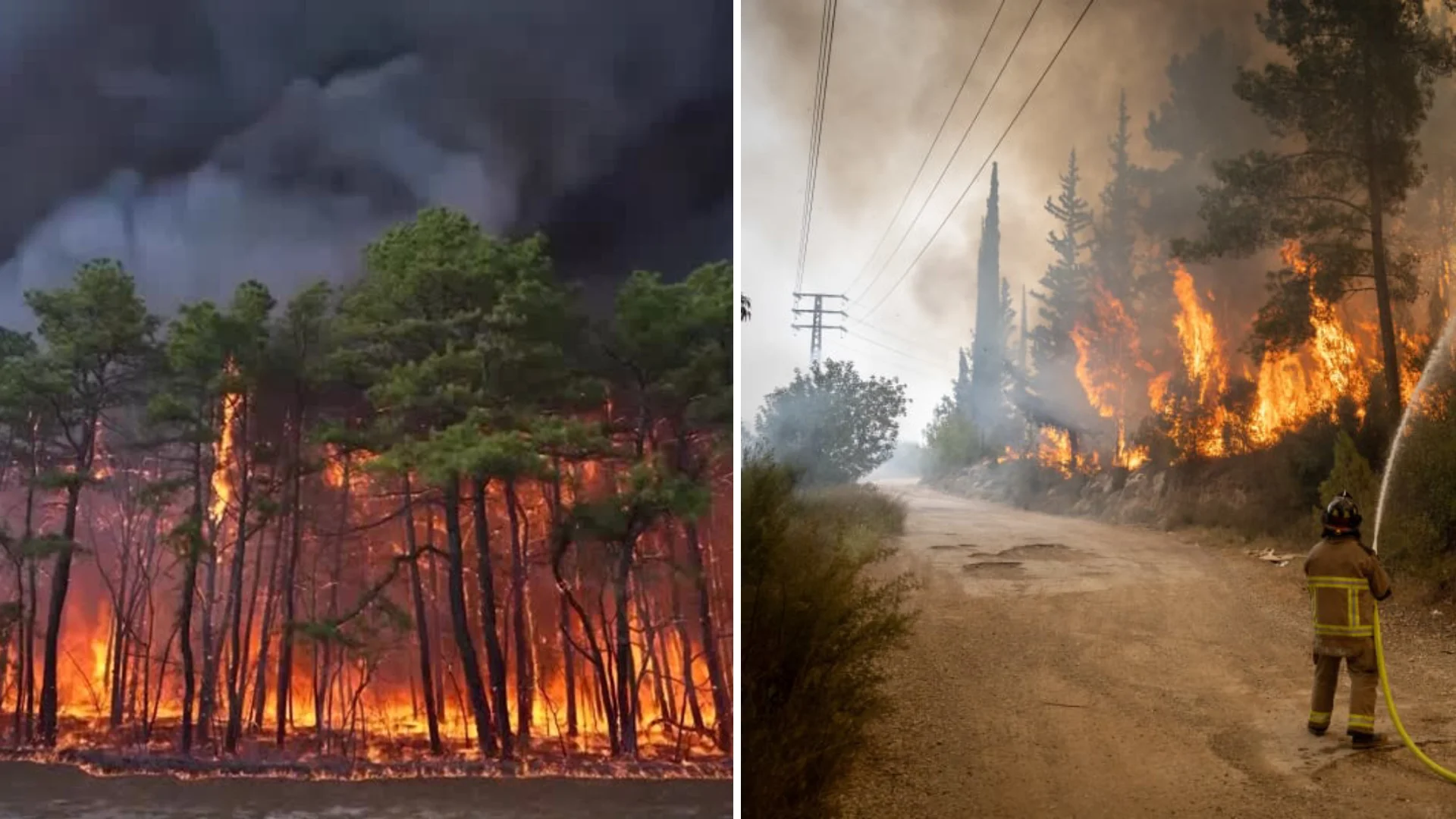 ভয়াবহ দাবানলে পুড়ছে আমেরিকা ও ইসরাইল