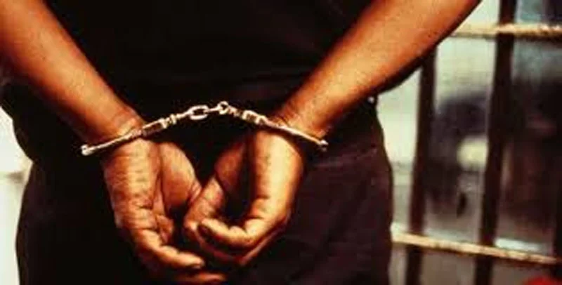 মণিপুরে গ্রেফতার ১১ সন্দেহভাজন জঙ্গি