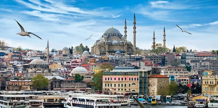 জন্মহার বাড়ানোর পরিকল্পনা চালু তুরস্কে