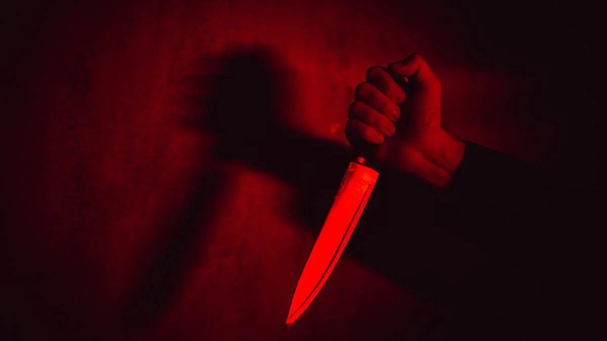 কানাডার মাটিতে ছুরিকাহত এক ভারতীয়, গ্রেফতার এক