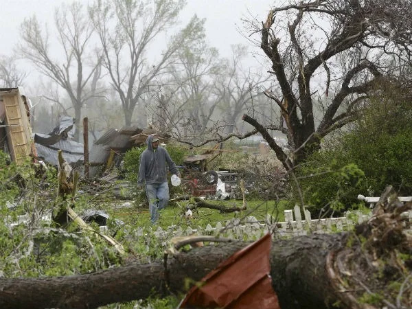 বিহারে ঝড়ের তাণ্ডবে ১৯ জনের মৃত্যু, ফসলের ক্ষতি