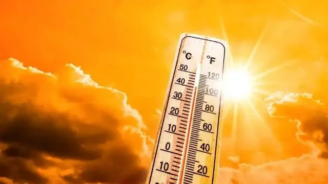 গরমে হাঁসফাঁস দিল্লিতে! তাপমাত্রা ৪৩ ডিগ্রি হওয়ায় স্কুলগুলিতে  নির্দেশিকা জারি শিক্ষা দফতরের