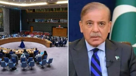 পহেলগাঁও হামলা নিয়ে মিথ্যা তথ্য পেশ, রাষ্ট্রসংঘে কড়া সমালোচনার মুখে পাকিস্তান