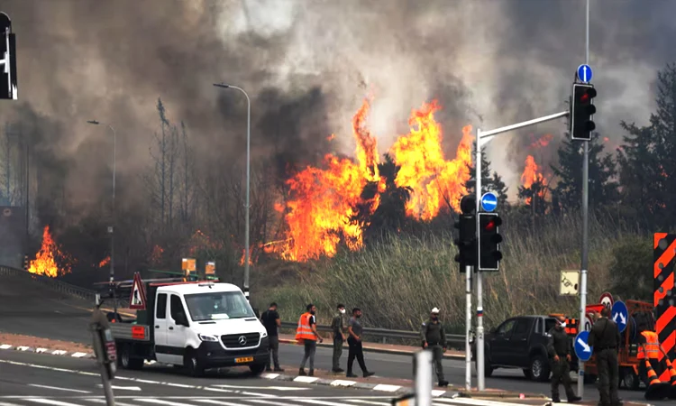 Israel wildfires: দাবানল থেকে বাঁচতে আন্তর্জাতিক সহায়তা চাইল ইসরাইল