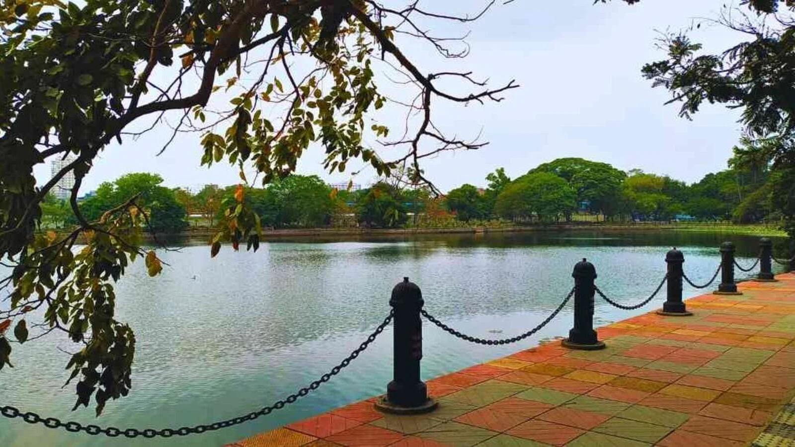 সরোবরের জলে ভারী ধাতুর আস্তরণ, পদক্ষেপ গ্রহণ করল কেএমডিএ