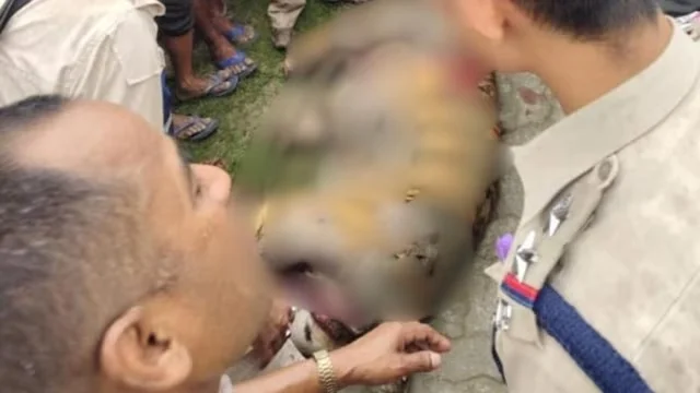 রয়্যাল বেঙ্গল টাইগারের দেহ উদ্ধার, নৃশংসভাবে হত্যার অভিযোগ