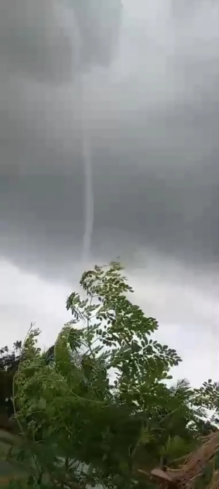 মিনাখাঁর চৈতল এলাকায় ক্ষণিকের টর্নেডো, জলঘূর্ণির ভয়ংকর দৃশ্য দেখে আতঙ্কিত এলাকাবাসী