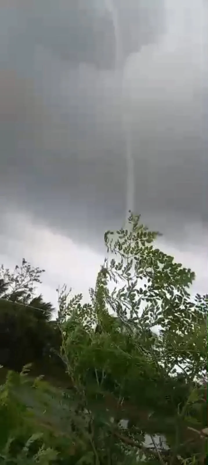 মিনাখাঁর চৈতল এলাকায় ক্ষণিকের টর্নেডো, জলঘূর্ণির ভয়ংকর দৃশ্য দেখে আতঙ্কিত এলাকাবাসী