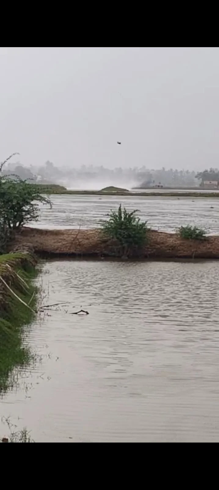 মিনাখাঁর চৈতল এলাকায় ক্ষণিকের টর্নেডো, জলঘূর্ণির ভয়ংকর দৃশ্য দেখে আতঙ্কিত এলাকাবাসী