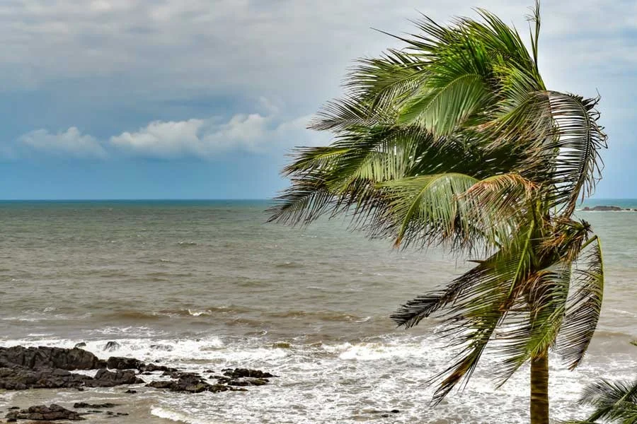 নিম্নচাপের জেরে ভারী বৃষ্টির সতর্কতা, ভারী থেকে অতিভারী বৃষ্টির পূর্বাভাস হাওয়া দফতরের