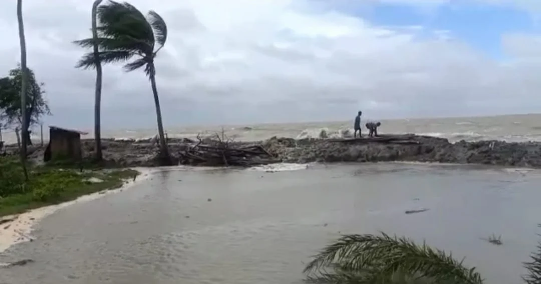 বাংলাদেশি পণ্যবাহী জাহাজ চলাচলের জন্য সুন্দরবনের নদীবাঁধ ভাঙছে, দূষিত হচ্ছে পরিবেশ