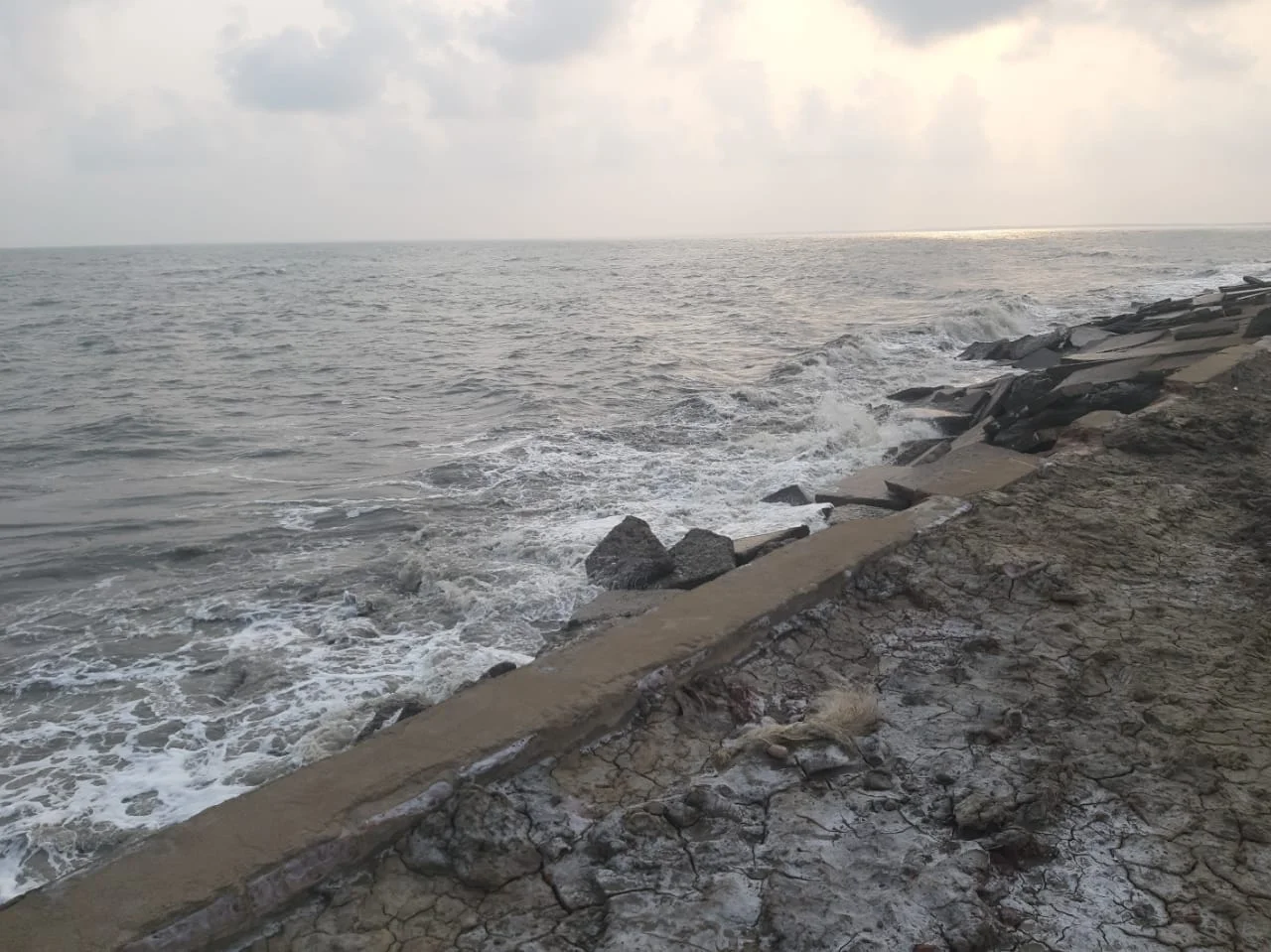 বাংলাদেশি পণ্যবাহী জাহাজ চলাচলের জন্য সুন্দরবনের নদীবাঁধ ভাঙছে, দূষিত হচ্ছে পরিবেশ