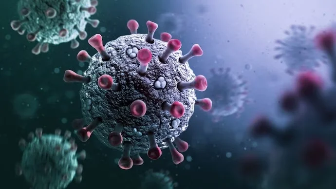 খড়গপুর ও পুরুলিয়ায় করোনা আক্রান্ত ৩